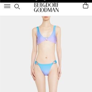 COPY - JONATHAN SIMKHAI Gravyn Satin Ombré Ring Bikini Bottoms and tops-NEW w/T…